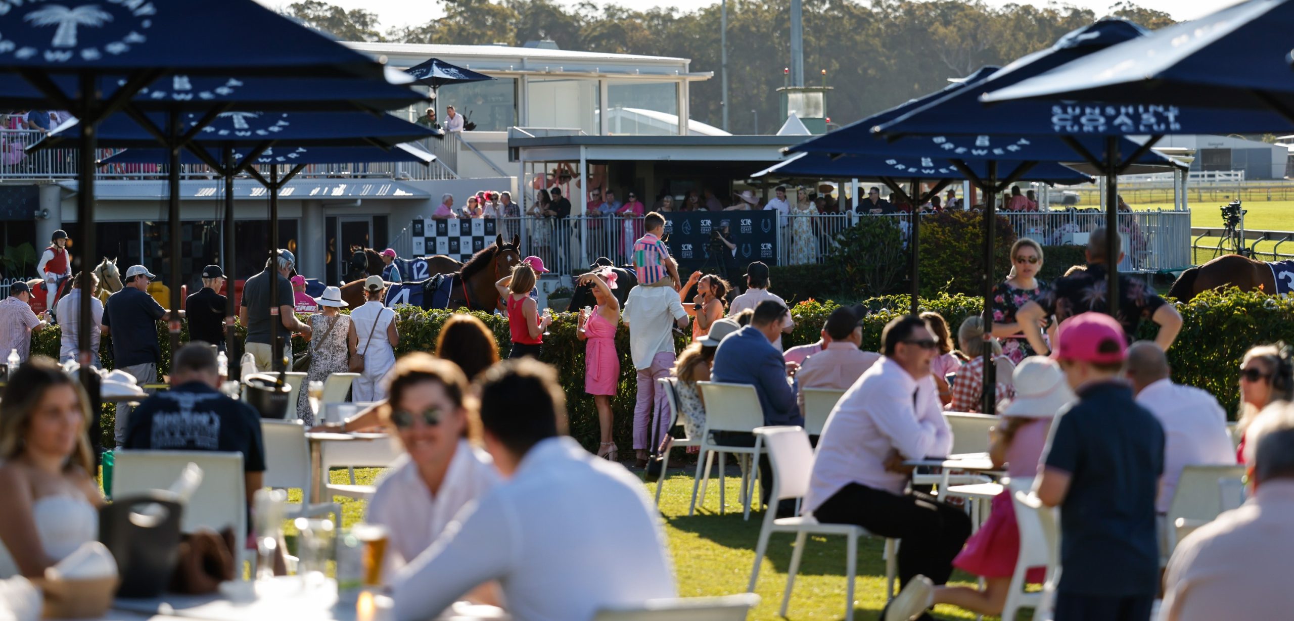 sunshine-coast-raceday-sunshine-coast-turf-club