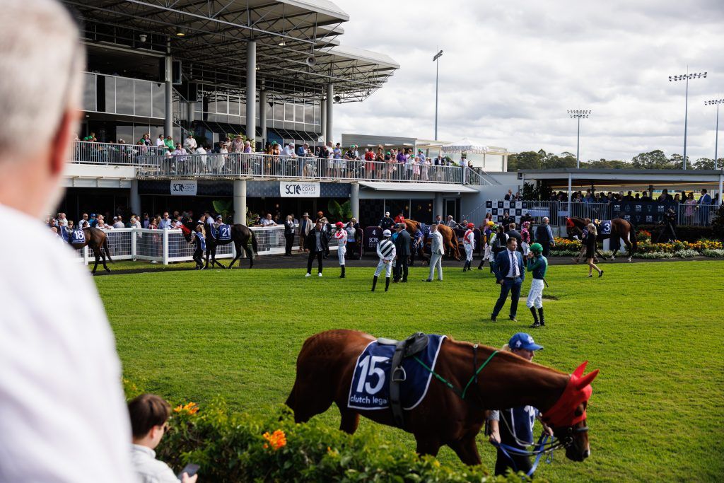 Boxng Day Races Boxing Day Races | Sunshine Coast Turf Club